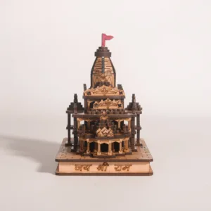 Wooden Shri Ram Janambhoomi Temple, Ayodhya