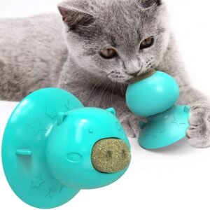 Catnip Ball - Enchanting Interactive Cat Lick Toy with Treat, Suction Cup Base, and Teeth Cleaning Function