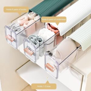 Clear Wall Mounted Drawer Organizer, Pack of 4