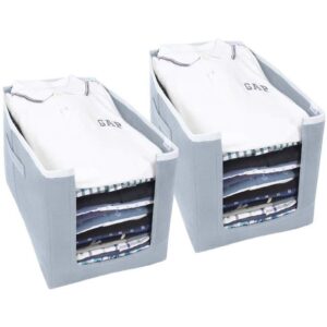 Cloth Organizer - Non Woven Foldable Cloth Organizer, Pack of 2